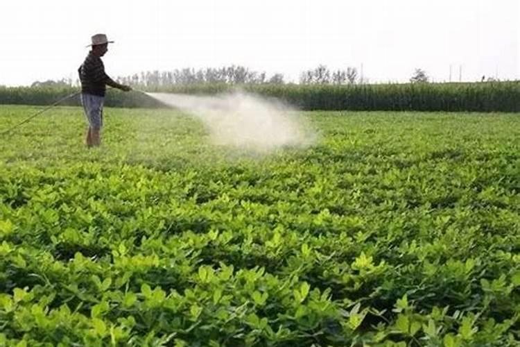 打了除草剂第二天能撒肥料吗