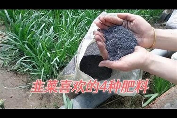 韭菜最好肥料是什么