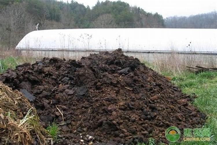 如何判断自己沤制的有机肥腐熟了没有。