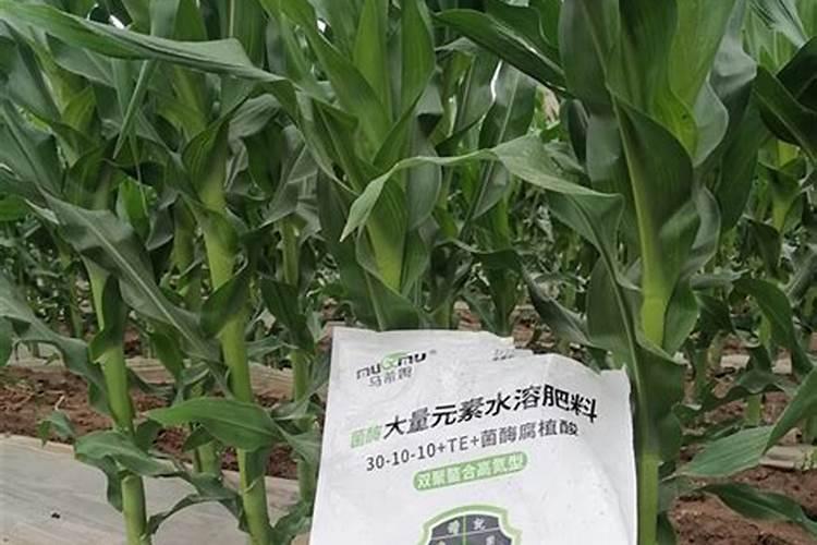 国内氨基酸水溶肥生产厂家有哪些？