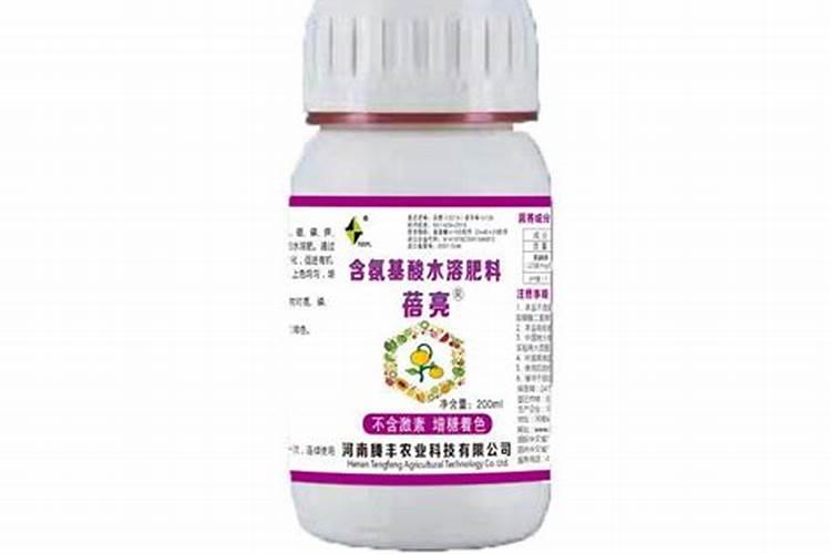 绣球花的养殖方法