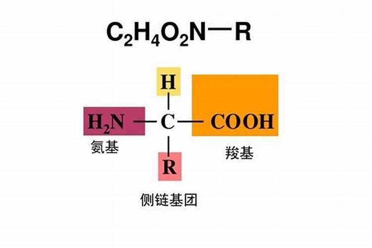 大肥王和催花王有区别吗
