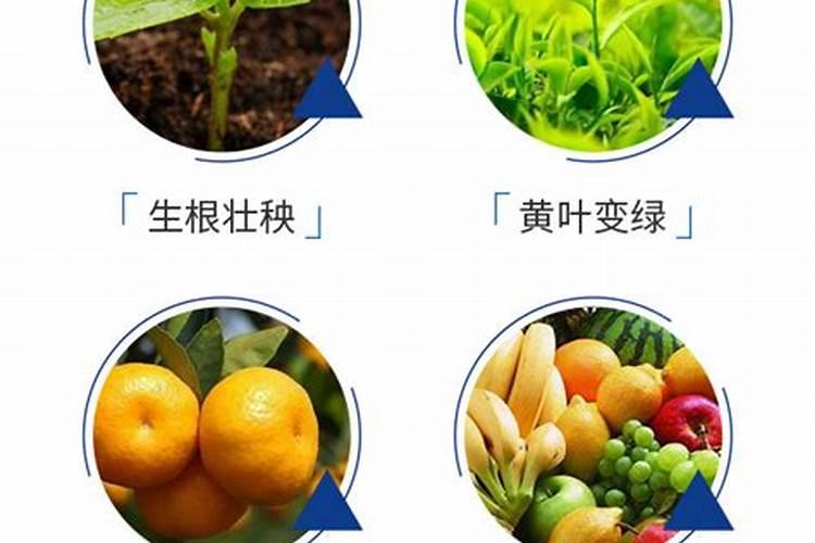 海藻鱼蛋白水溶肥料作用