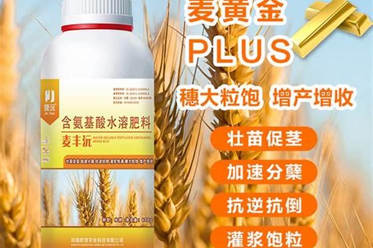 在设施蔬菜栽培中怎样施用硼肥？
