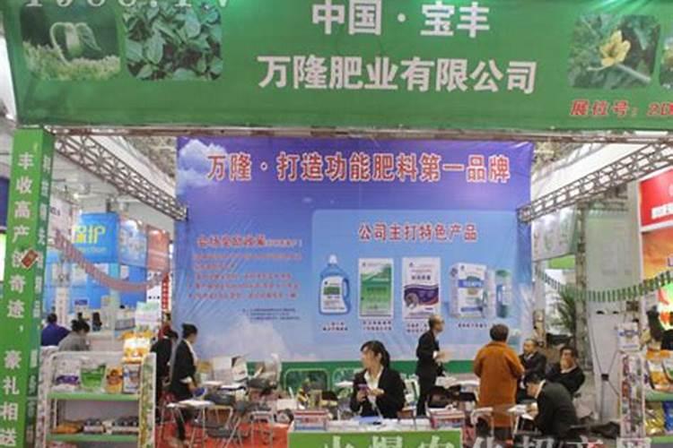 玫瑰花黄叶病的原因及治疗处理方法