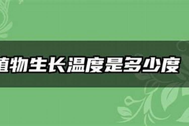 春季什么时候给盆栽施肥 施肥注意事项有哪些
