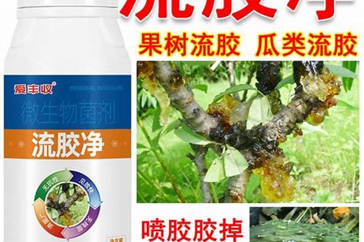 金龟钙奶水溶肥的作用