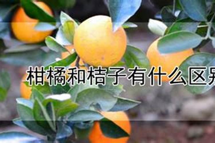 水稻钾肥什么时候施 水稻什么时候施钾肥