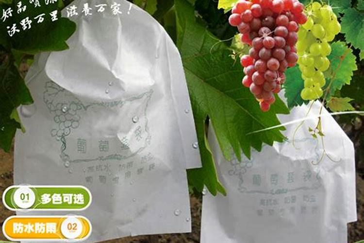 青岛采摘葡萄的地方有哪些