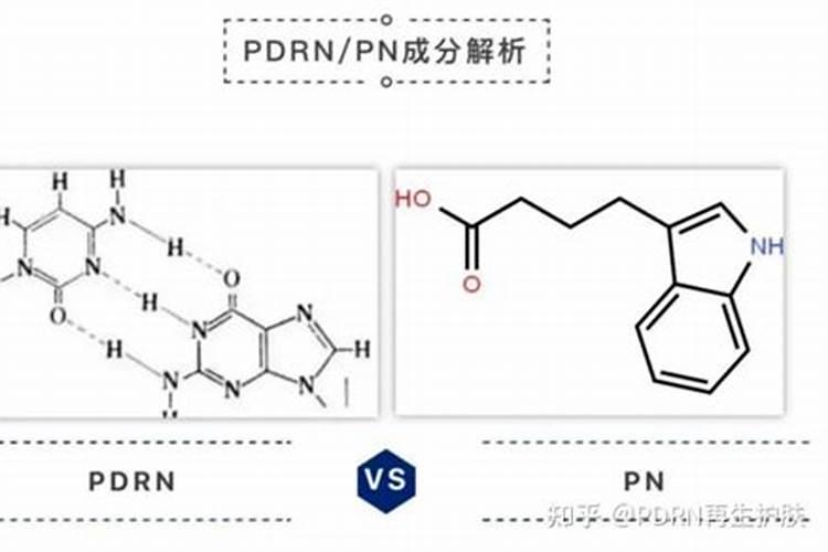 什么果树可以种在水多的地方？
