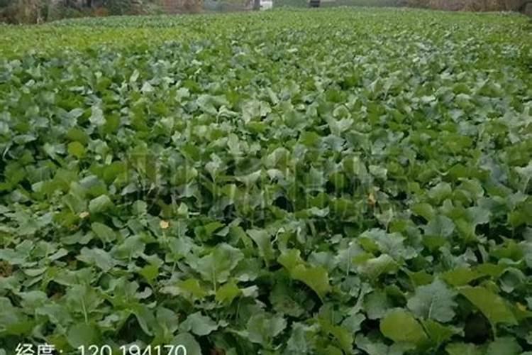 钢的含碳量与力学性能的关系是什么