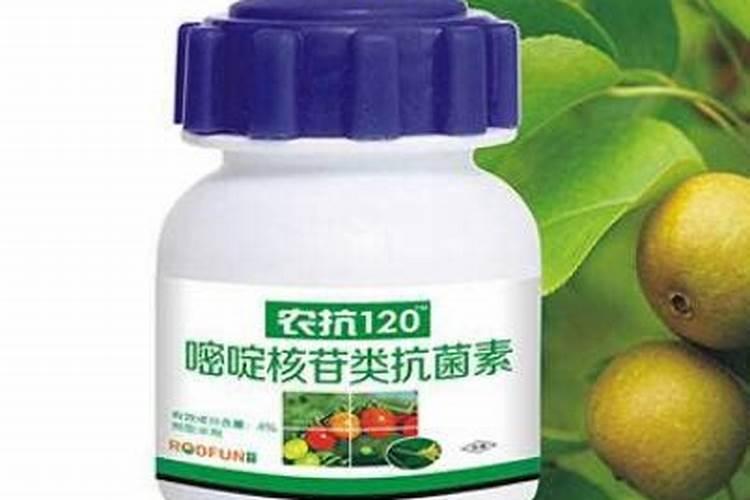 苹果施肥什么肥最好？!!!