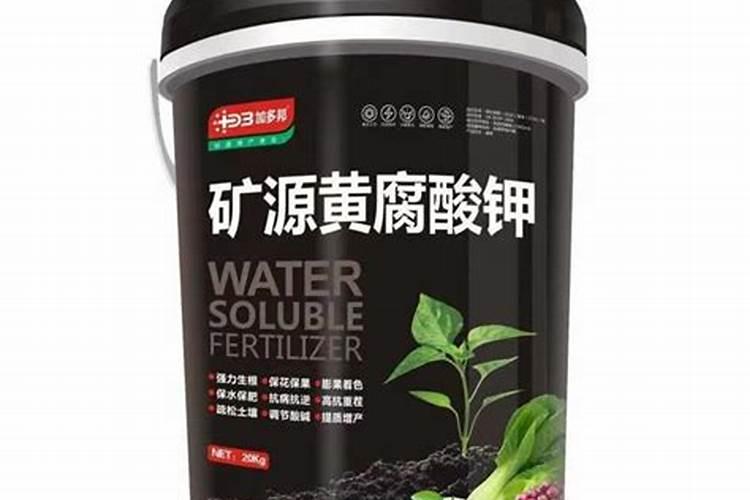花生皮有什么用途和作用