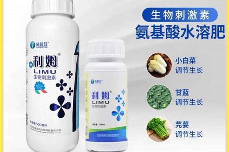 三角梅长得枝繁叶茂却不开花是什么原因