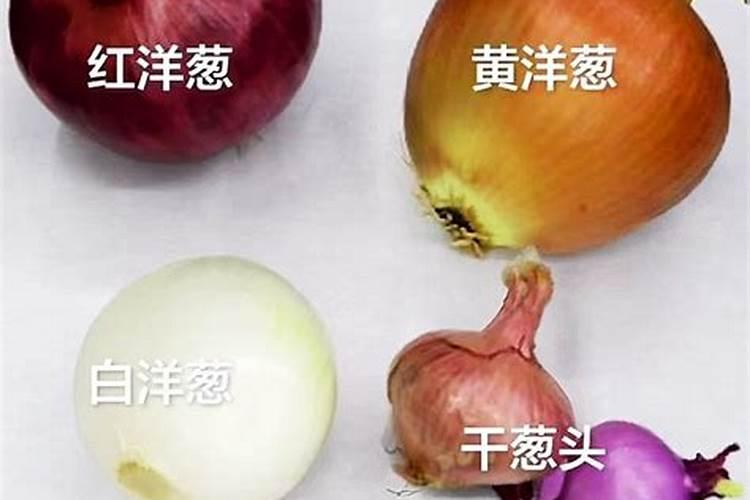 常吃洋葱对身体有什么好处？