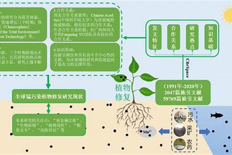 植物必须元素有哪些