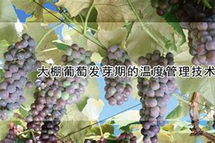 复合肥和大量元素水溶肥的区别