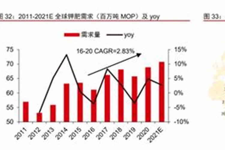 龟背竹多久长一片叶子 竹子的叶子长出时间