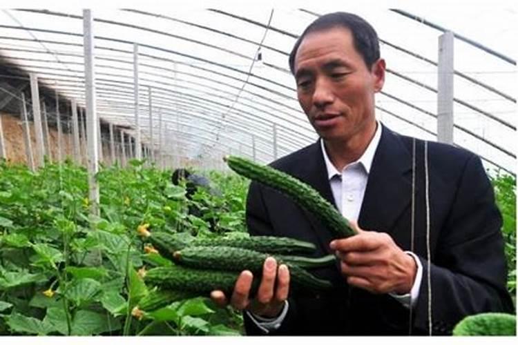50克红糖,30克磷酸二氢钾50克尿素和100克食醋可以做成叶面肥吗？