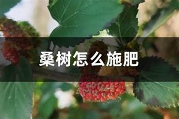 农村传统的浇地方法