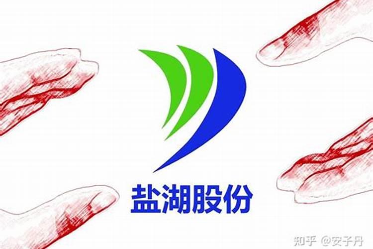 [猪肉股票里的龙头股]钾肥股票有哪些(钾肥股票)