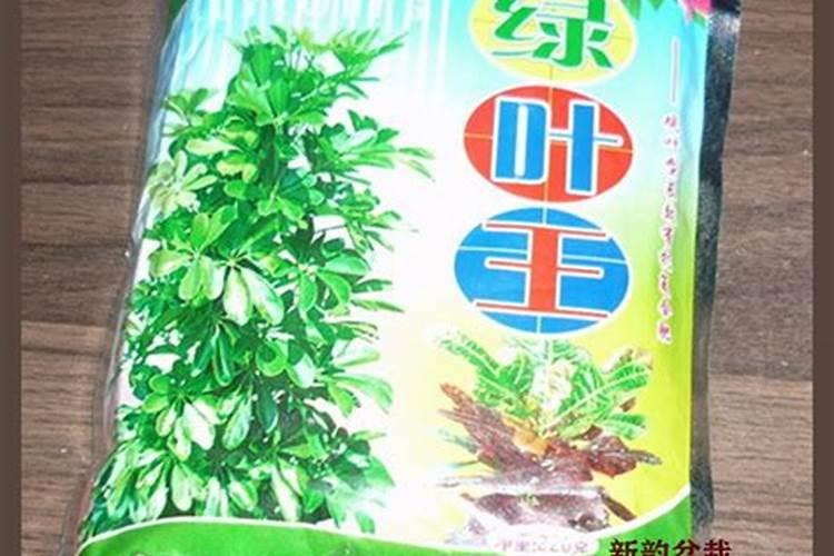多肉肥给别的花使用(多肉植物花肥)