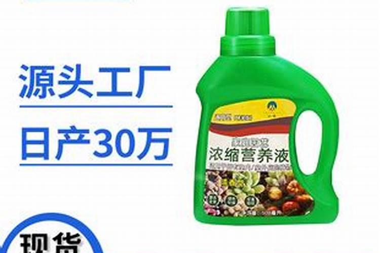 椰糠怎么配营养土椰糠可以直接种植物吗