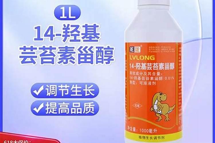 蓝宝石鱼最大能长多大