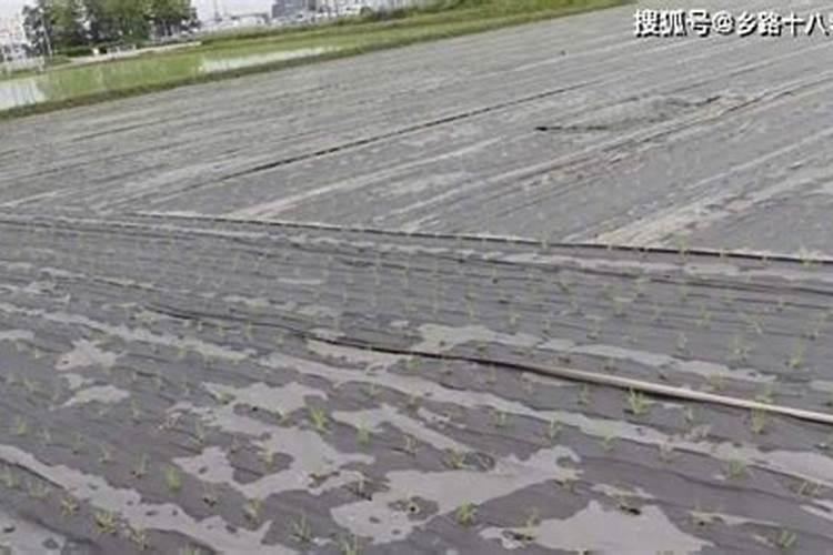 实施建筑节能有哪些重要性？