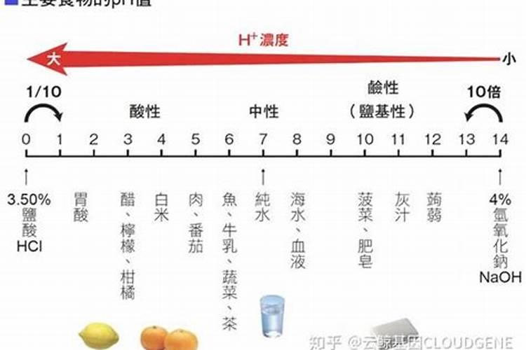枇杷开花时可以施肥吗