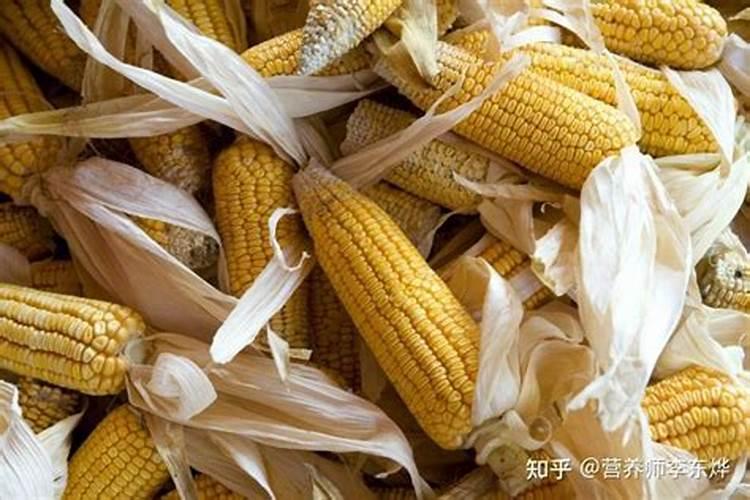 玉米有什么营养成分