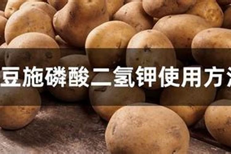 磷酸二氢钾和硼肥哪个好