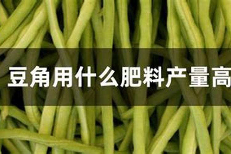 豆角摘完一批要怎样让它翻花