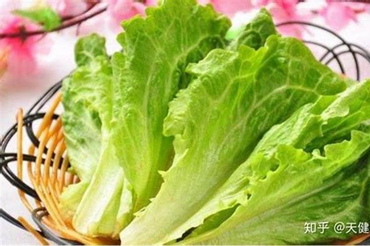 生菜追肥用什么肥料见效快(种生菜用什么肥料冲施最好)