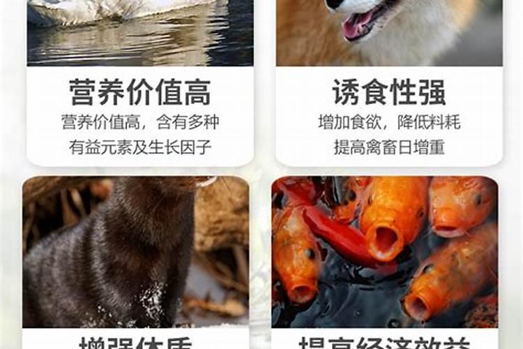 磷肥是什么肥料做成