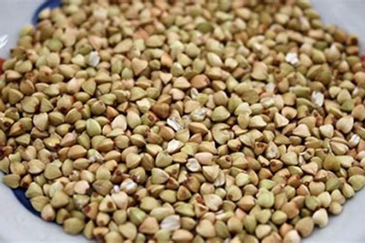 磷肥对植物的作用与功效