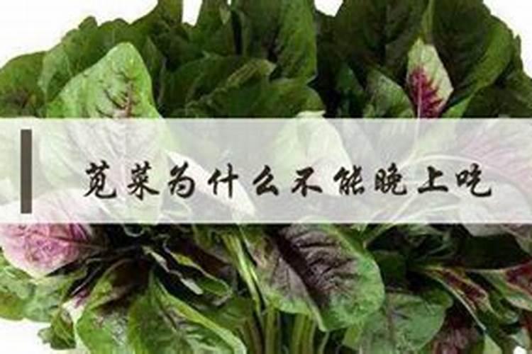苋菜病毒病防治要点