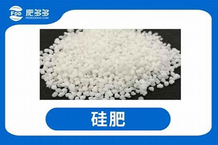 硅肥的作用及功能
