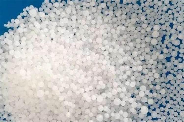 瓜果蔬菜等经济作物用海藻多酚水溶肥后会是什么样