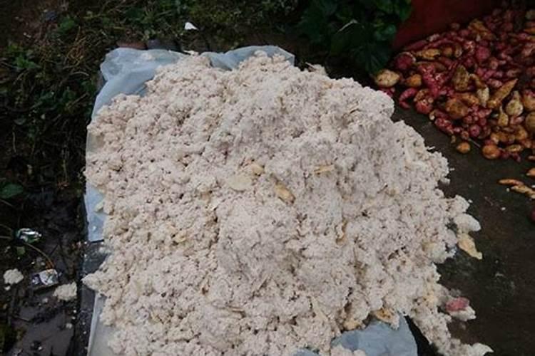 硼肥对红薯有什么作用 最佳使用时间