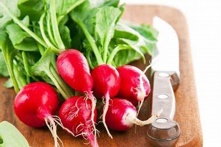 甜菜高产施肥技巧