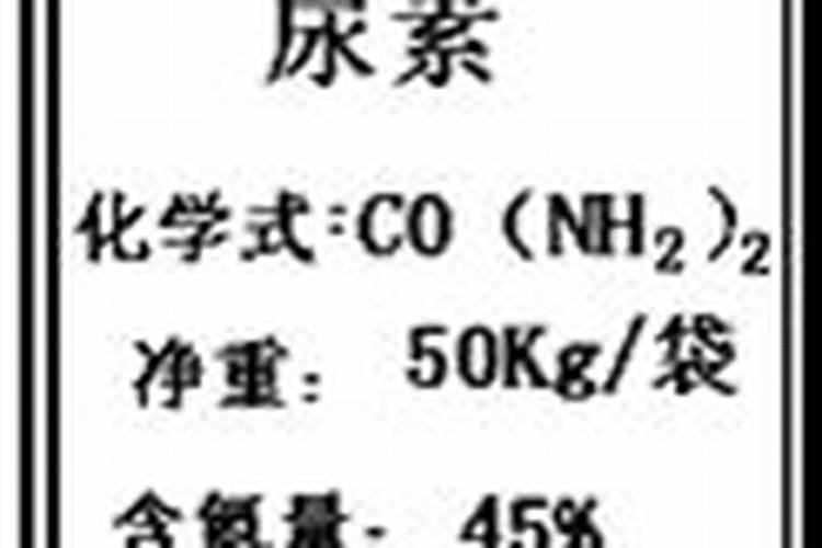 美帜围巾是什么档次