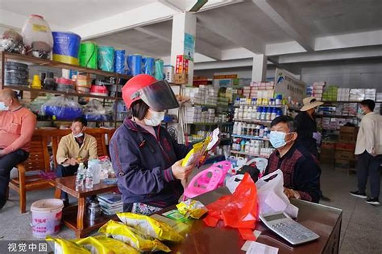 种植三七需要哪些气候和土壤条件？