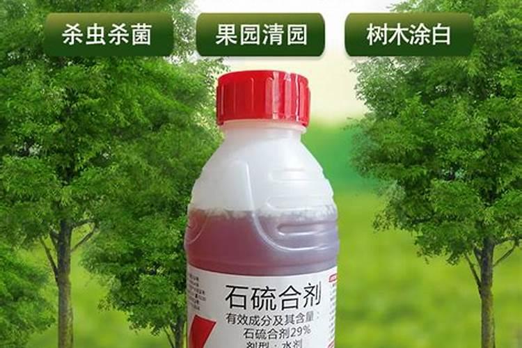 石硫合剂配杀虫剂打树可以吗？