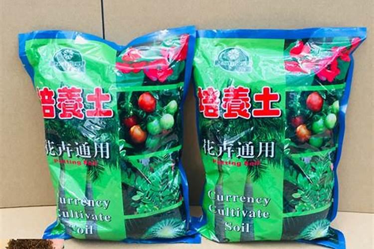 营养土是直接用还是掺着用营养土怎么用比较好
