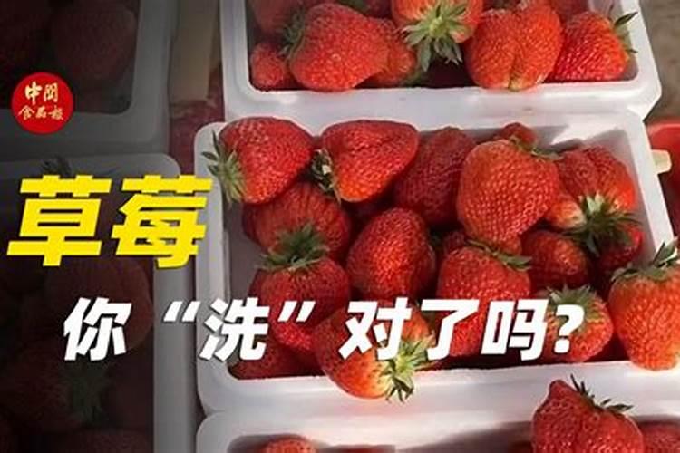 草莓磷肥过量是什么症状
