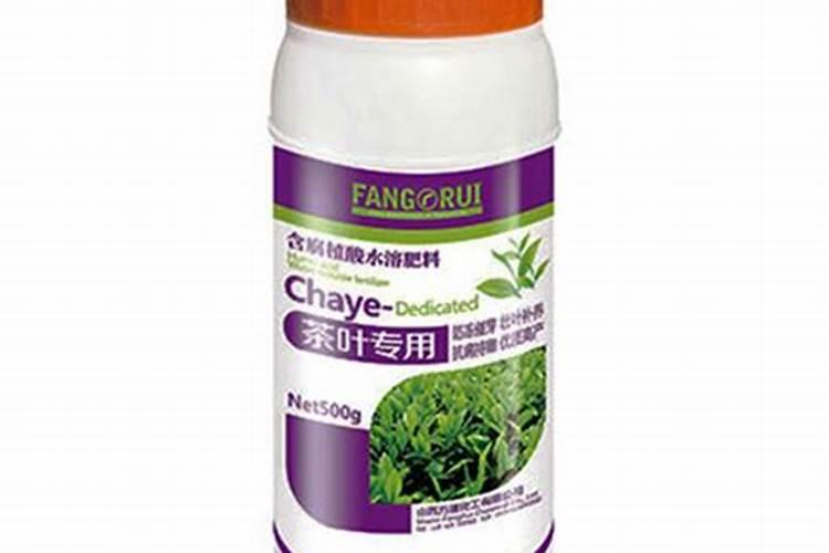 柳传志卖龙井,马云卖普洱,陈泽民要生产茶叶专用肥——食品大佬关注“茶...