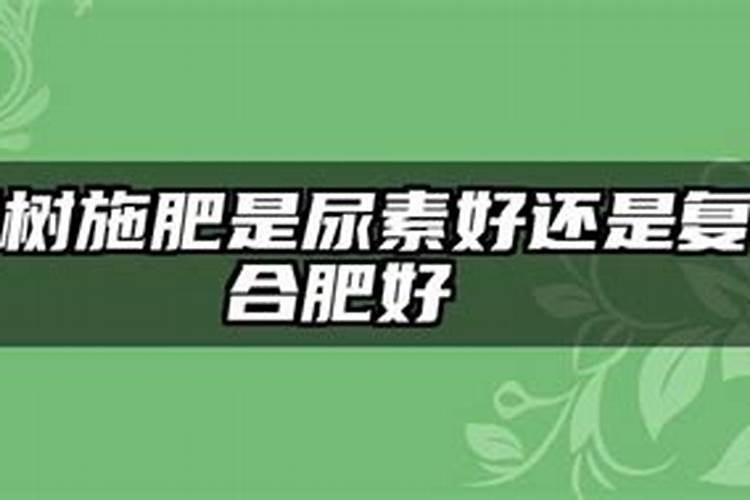 杨树施尿素会烧死吗,撒在土壤中多久失效