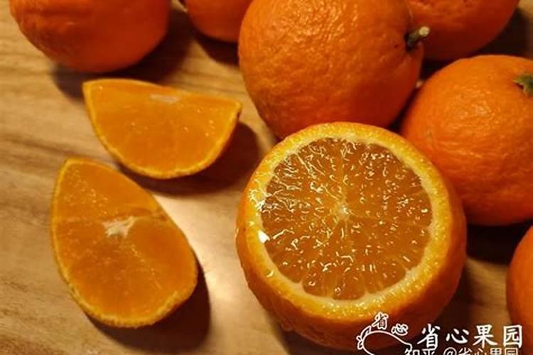 海南山柚树多少年结果