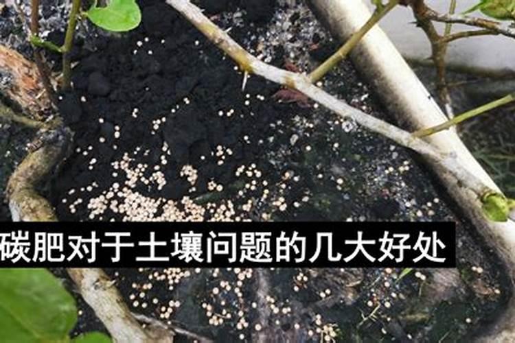 合肥丰乐种业股份有限公司下属公司